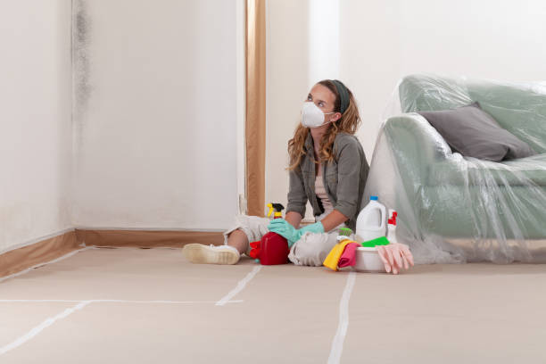 Reliable Mold Remediation contractor in Savage, MN by WQB Mold Removal